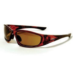 FB-Eye Crystal Brown Frame/ Brown Lenses